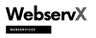 Betasaurus logo