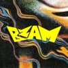 BZAM India logo