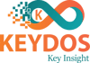 KKEYDOS INFO TECH PVT LTD logo