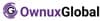 Ownux Global logo
