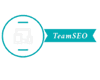  TeamSEO logo
