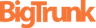 Bigtrunk Communications Pvt Ltd logo