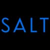 Salt Technologies logo