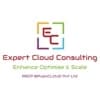 Expert Cloud Consulting logo